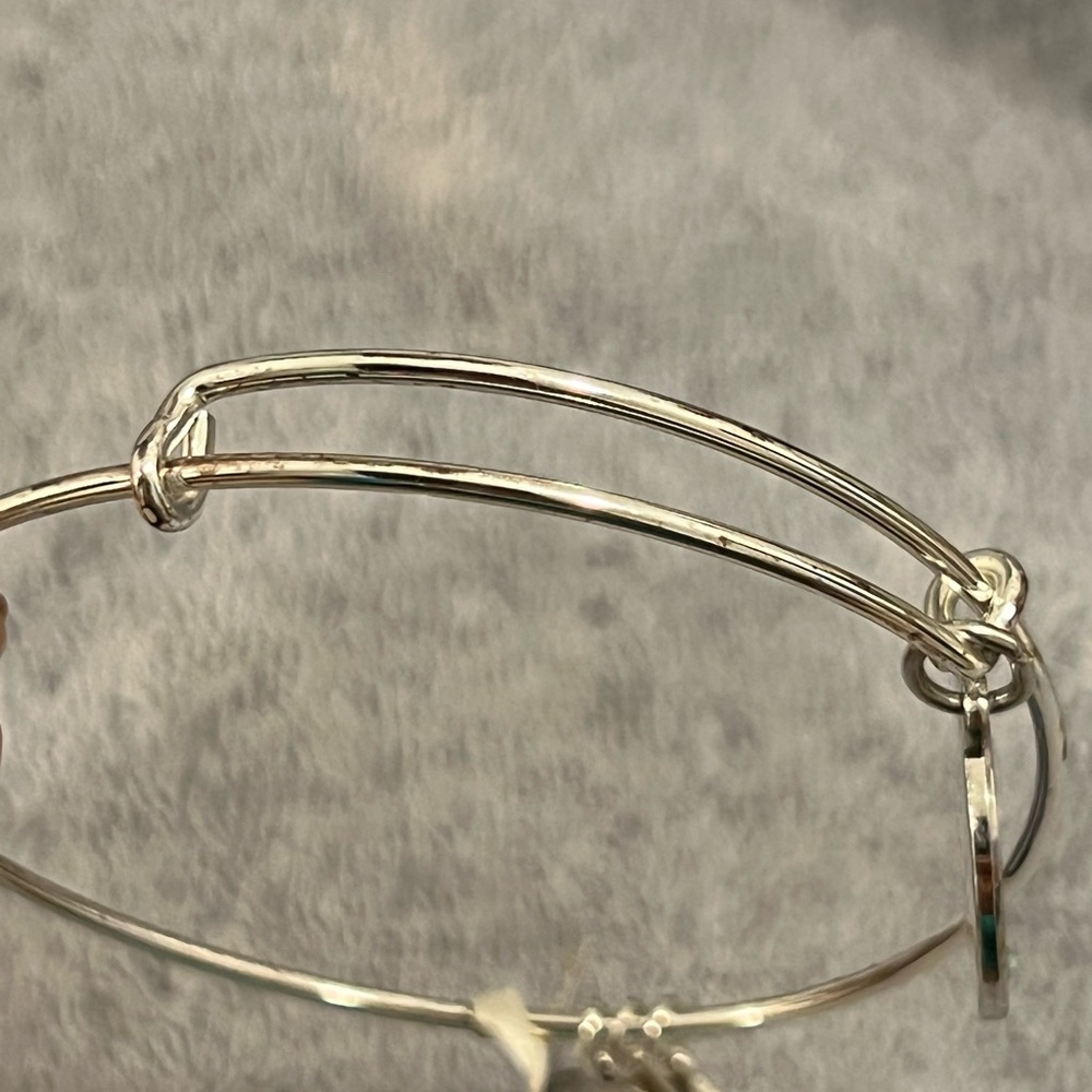Alex and Ani Mazel Tov charm bracelate - Picture 10 of 13
